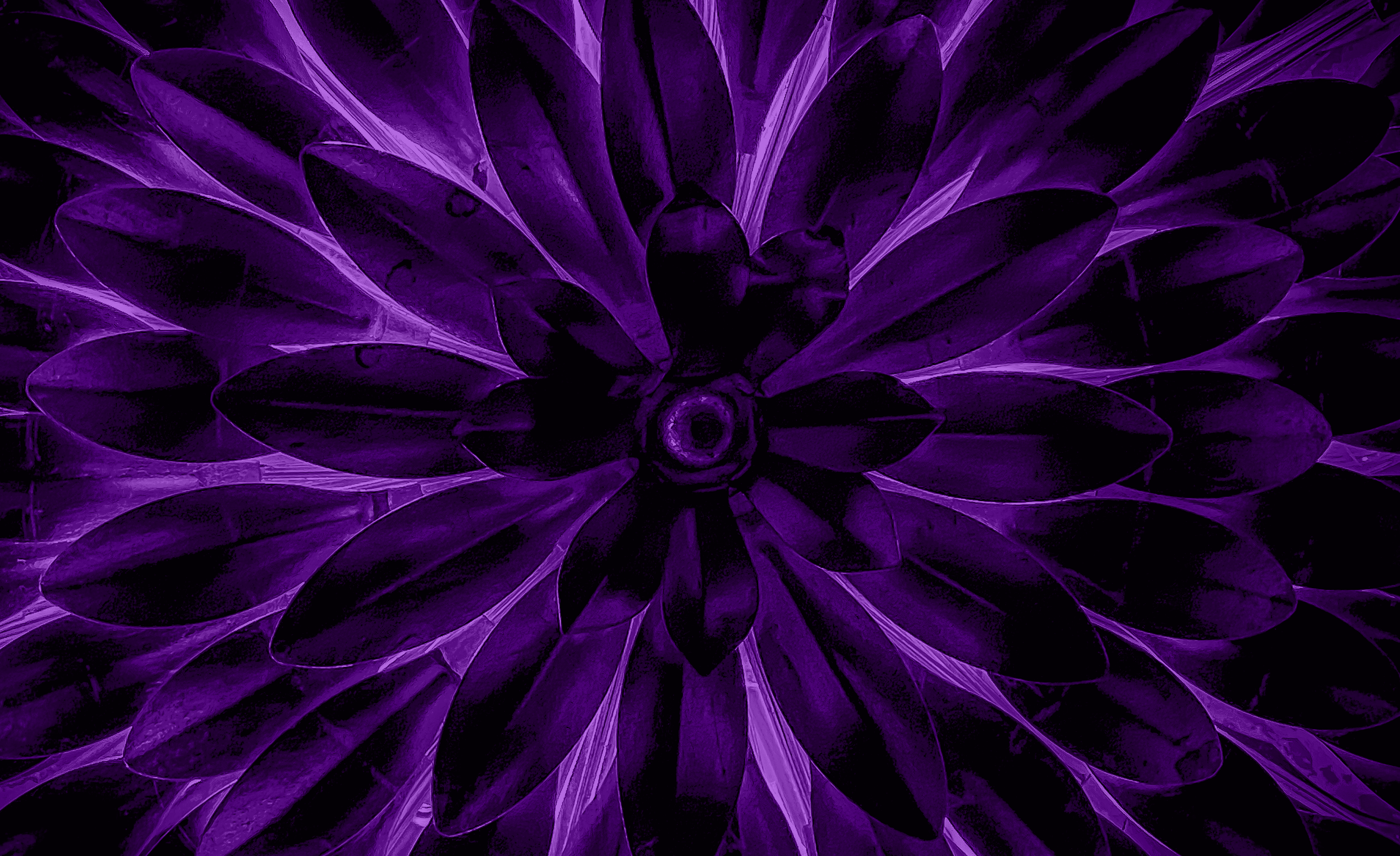 quote carousel background image